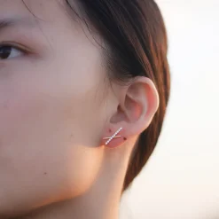18K Vermeil X CZ Studs
